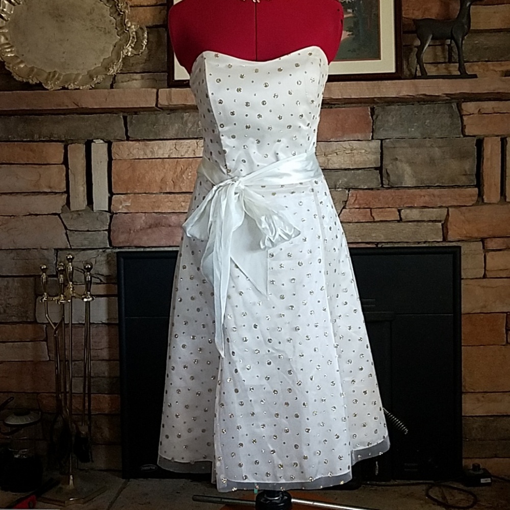 Vintage Princess Cut Polka Dots Lace Up Bodice Prom Homecoming DRESS GOWN